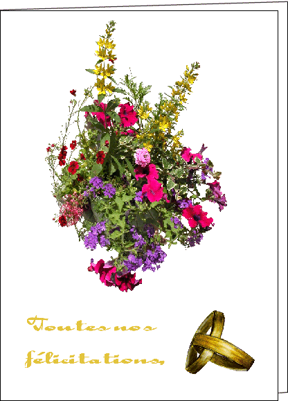 pour toi mon coeur ce lengage des fleure